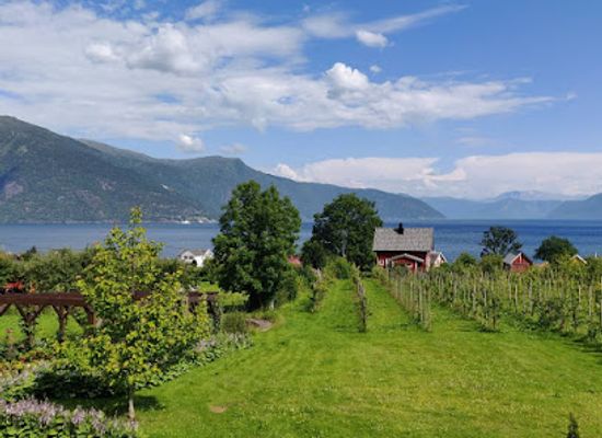 norway/sognefjord/restaurant/ciderhuset-cidersmaking-restaurant-butikk