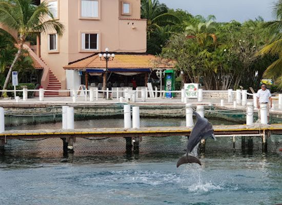 mexico/cozumel/puerto-aventuras/restaurant/dos-chiles