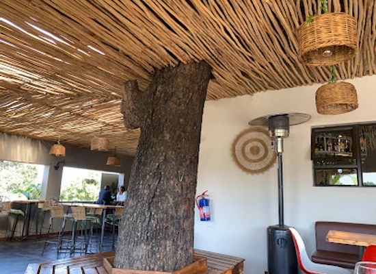 eswatini/lubombo/restaurant/freshly-ground-salt-pepper