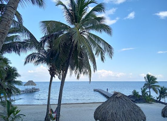 belize/lighthouse-reef-atoll/restaurant/jam-rock-island-cuisine
