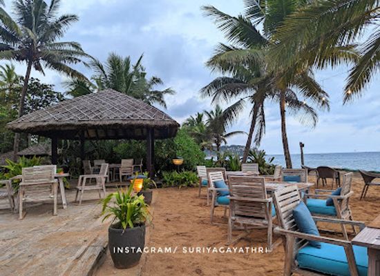 india/kovalam/restaurant/bait