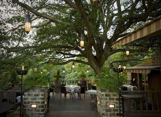 japan/nara-countryside/restaurant/la-terrasse