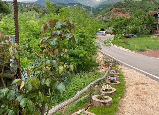 albania/librazhd/restaurant/river-side