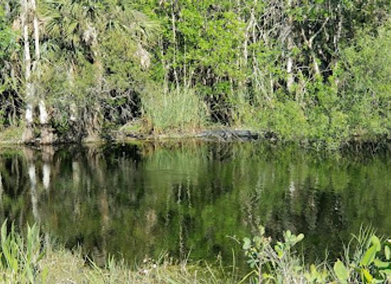 florida/big-cypress-national-preserve/restaurant/fire-prairie-trail