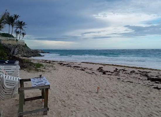 barbados/crane-beach/restaurant/official-coconut-cocktails