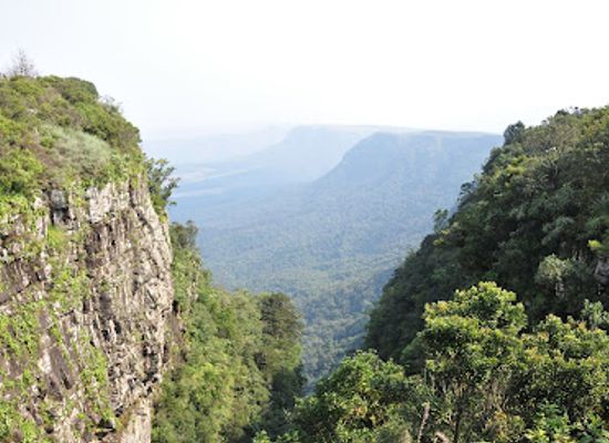 south-africa/lowveld/restaurant/harrie-s-pancakes