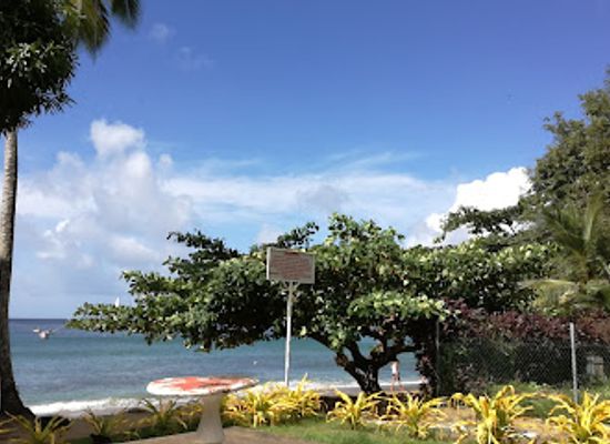 trinidad-and-tobago/nylon-pool/restaurant/the-suckhole