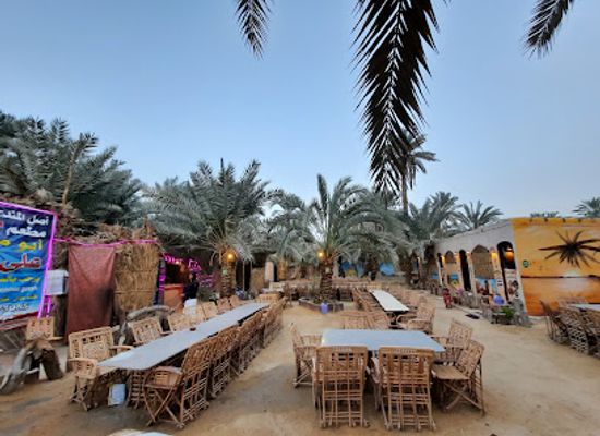 egypt/siwa-oasis/restaurant/matam-ali-aliwa-lalmashawiyat