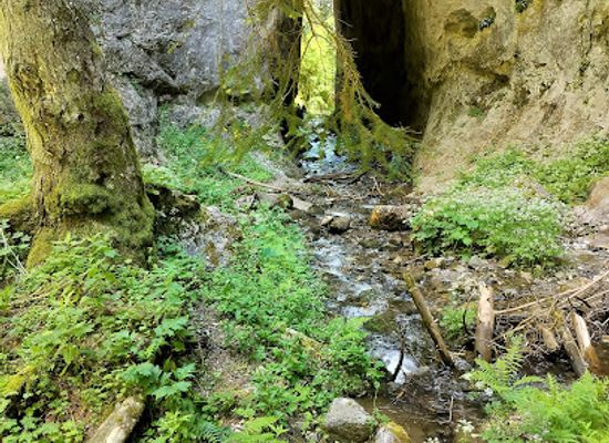 bulgaria/chepelare/restaurant/the-wonderful-bridges-hotel