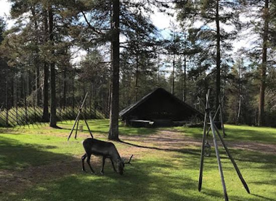 finland/lapland/restaurant/royal-reindeer-ounasvaara