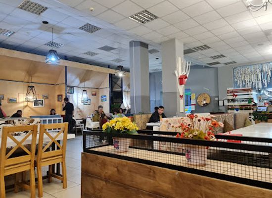 moldova/orhei/restaurant/pizza-mania