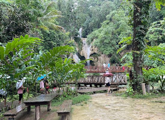 laos/northern-laos/restaurant/lao-green-restaurant