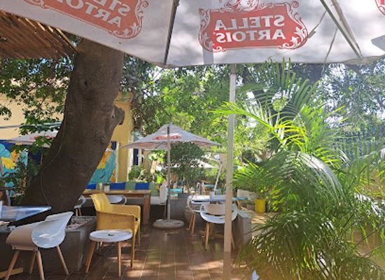 mozambique/maputo-province/restaurant/tree-house