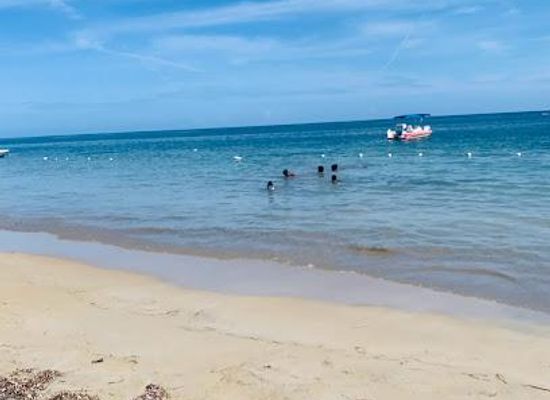jamaica/ocho-rios/restaurant/sharkies-seafood-restaurant