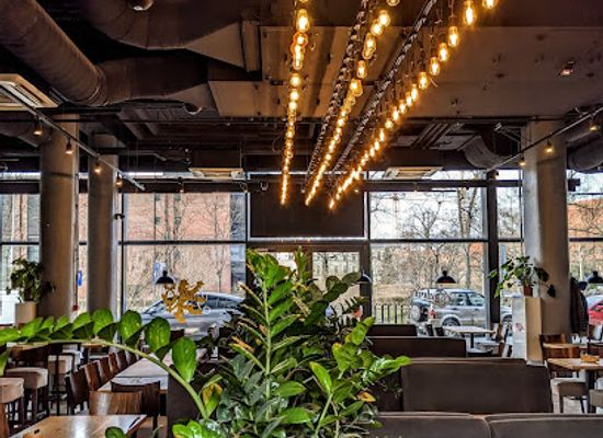 poland/wroclaw/restaurant/drevny-kocur-ovo-wroclaw
