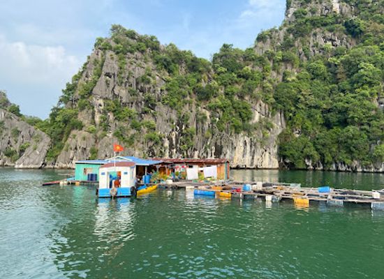 vietnam/cat-ba-island/restaurant/my-way-pizza-healthy-vegan-restaurant