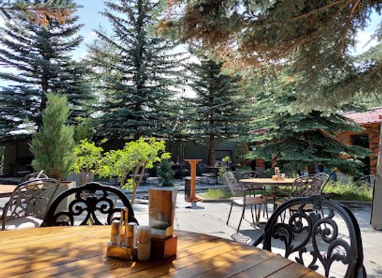 armenia/vayots-dzor/restaurant/yasaman-tsaghkadzor-s-restaurant