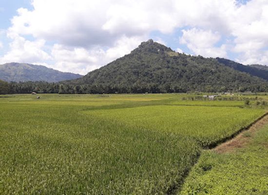 sri-lanka/matale-district/restaurant/mount-view-restaurant