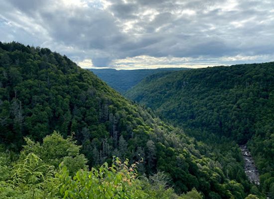west-virginia/blackwater-falls-state-park/restaurant/the-smokehouse-at-blackwater-falls