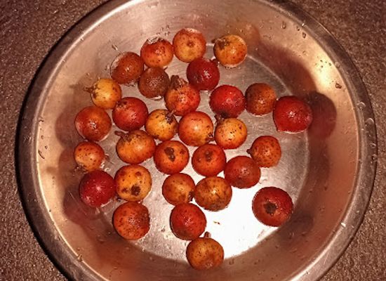 nepal/poon-hill/restaurant/rakhu-bhagawati