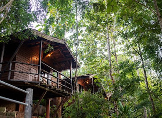 thailand/doi-inthanon/restaurant/hot-coffee-guest-house-and-resort
