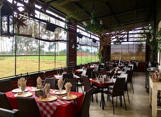 colombia/popayan/restaurant/il-gallo-restaurante