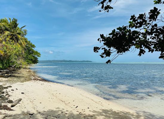 palau/kayangel-island/restaurant/okemii-deli-internet-cafe