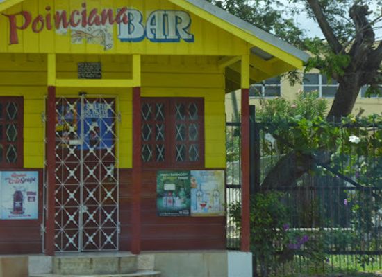 jamaica/middlesex-county/restaurant/not-everything-curry-restaurant-bar