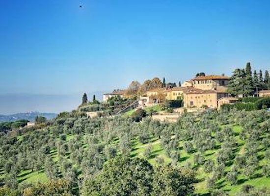 italy/valdarno/restaurant/diadema-wine-evo