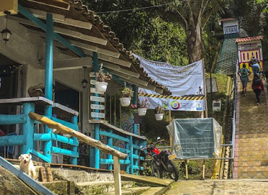 colombia/risaralda-department/restaurant/coco-bowl