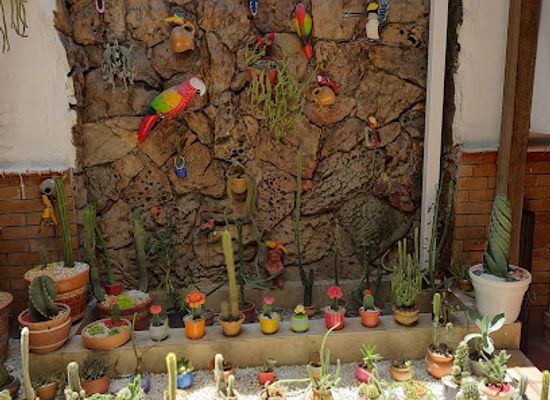 colombia/cucuta/restaurant/el-sabor-de-mi-tierra-motilona
