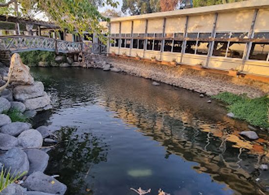israel/jordan-valley/restaurant/fish-restaurant-ein-gev-harbor