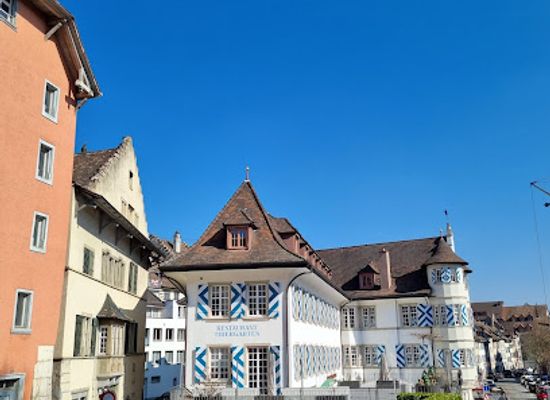 switzerland/schaffhausen/restaurant/restaurant-ufenau-schaffhausen
