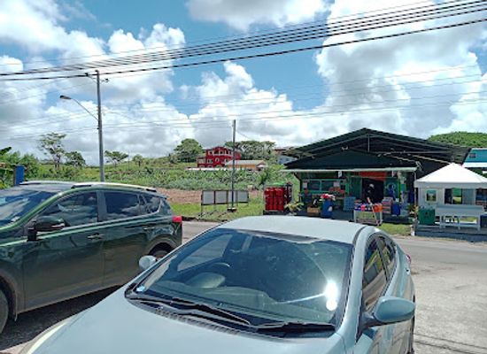 trinidad-and-tobago/mayaro-rio-claro/restaurant/the-original-pizza-parlour