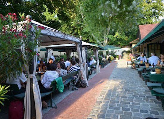 austria/vienna/hietzing/restaurant/wambacher