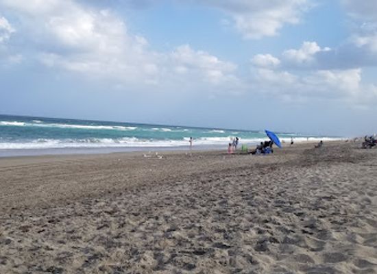 florida/treasure-coast/restaurant/sea-turtle-beach-concessions