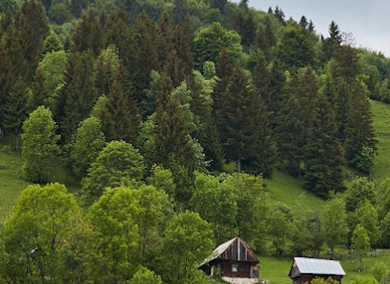 romania/brasov/restaurant/restaurant-craiasa-muntilor