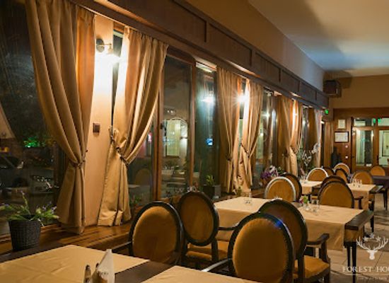 romania/suceava/restaurant/caprioara-restaurant-lounge
