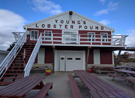 maine/waldo-county/restaurant/young-s-lobster-pound