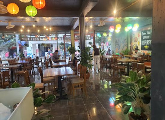 vietnam/northwest/restaurant/hoang-cuisine-vietnamese-restaurant-and-vegetarian