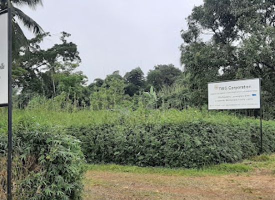 liberia/montserrado-county/restaurant/villa-rojadema
