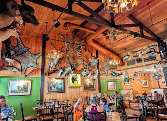 wyoming/washakie-county/restaurant/thermopolis-safari-club