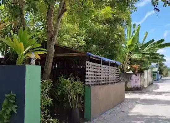 maldives/laamu-atoll/restaurant/grove-cafe-bistro