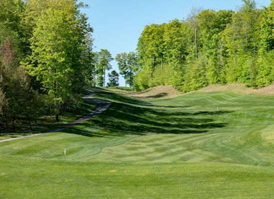 michigan/northern-michigan/restaurant/the-compass-room-at-true-north-golf-club