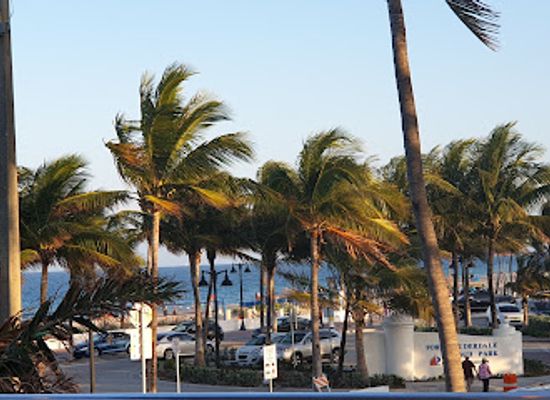 florida/gold-coast/restaurant/bo-s-beach
