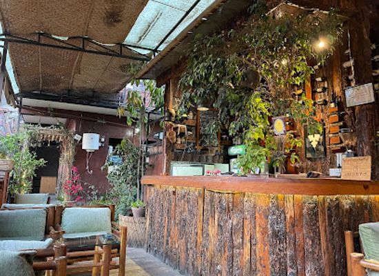 nepal/upper-mustang/restaurant/forest-plate