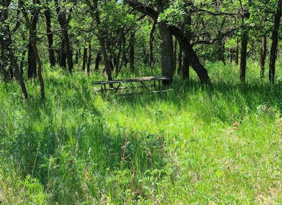 north-dakota/turtle-mountains/restaurant/turtle-mountain-state-recreation-area