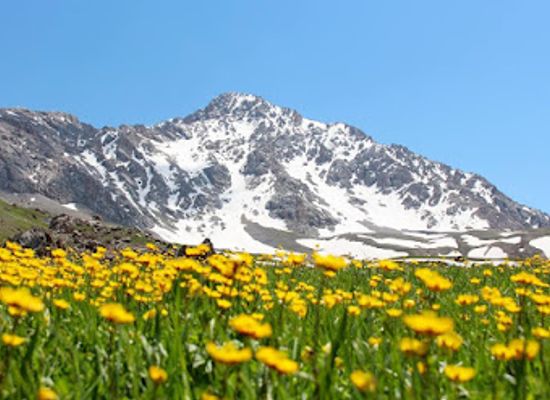 kyrgyzstan/kemin/restaurant/trip-to-kyrgyzstan