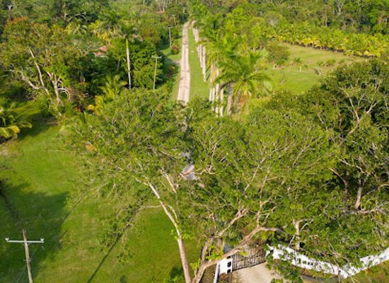 belize/mountain-pine-ridge-forest-reserve/restaurant/warrie-head-restaurant