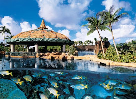the-bahamas/ragged-island/restaurant/lagoon-bar-grill
